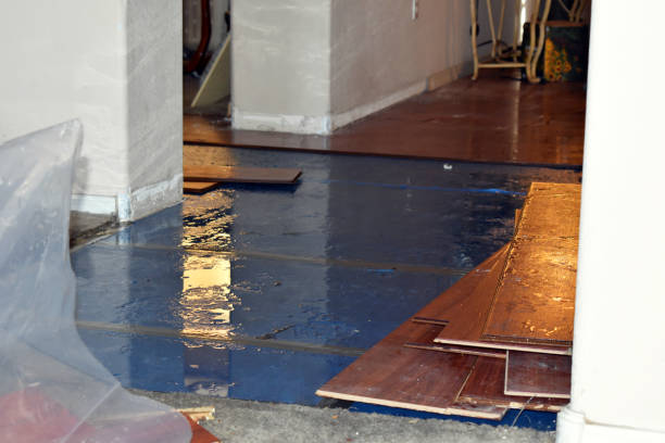Professional Basement Flood Cleanup technician working in Auburn, WA