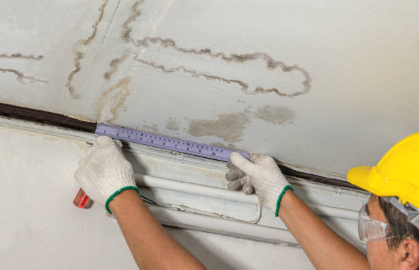 Reliable Basement Flood Cleanup contractor in Auburn, WA by Aqua Guard Water Damage